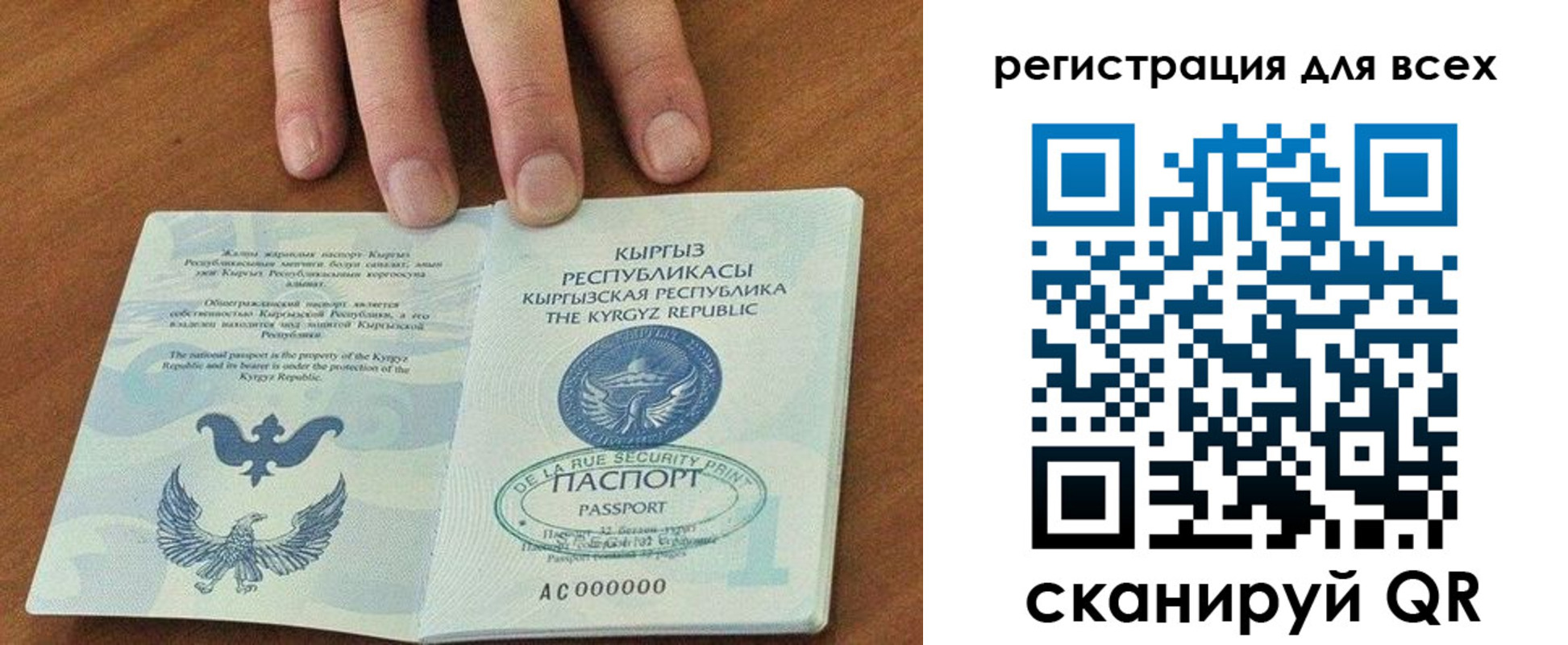 прописка для школы в Чайковском